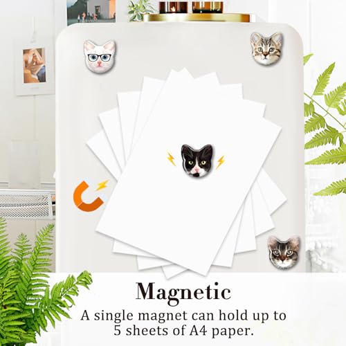 Imanes decorativos para refrigerador gatos 30 pcs miniatura 6