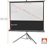 Celexon Stativleinwand Economy 244 x 138 cm - 2