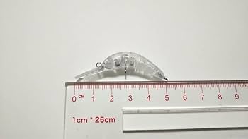 クランク、ニョロ Amazon.co.jp: にょろ系 クランクベイト 6色セット ニョロ系 クランク