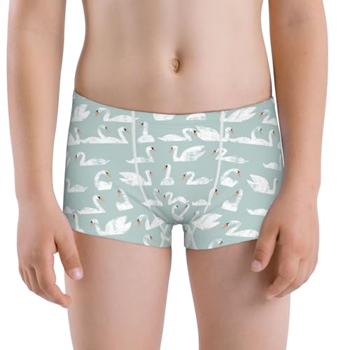 Boys' Cotton Boxer Brief Soft Underwear-White Swan