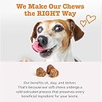 Zesty Paws Probiotics for Dogs - Digestive Enzymes for Gut Flora, Digestive Health, Diarrhea & Bowel Support - Clinically Studied DE111 - Dog Supplement Soft Chew for Pet Immune System - Pumpkin, 90ct - Image 5