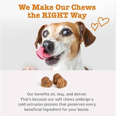Zesty Paws Dog Multivitamin, Chewable Dog Vitamins and Supplements for Hip & Joints, Skin & Coat, Omega 3 Fish Oil for Dogs- Senior & Puppy Multivitamin - Chicken- 250ct