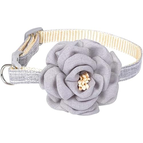 [NV[eA`̉Ԃ̃ANZT[t̒\ȃiCqq̎փybgEFfBOp[eB[pi,c,s 20-30cm