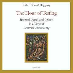 The Hour of Testing Audiolibro Por Donald Haggerty arte de portada