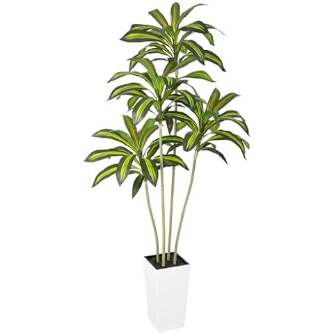 Bellacat UV Resistant 6ft Artificial Dracaena Plant with Tall White Decorative Planter, 72in Artificial Dracaena Tree with Lifelike Leaves & Realistic Trunks, Tall Fake Plant for Indoor Outdoor Decor. Cover