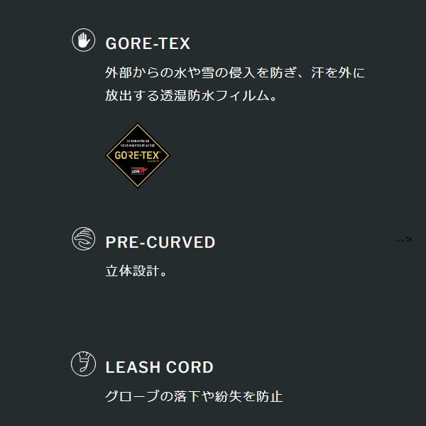 Amazon | スキー グローブ ゴアテックス スワニー SWANY SX-111A Union