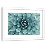 Wandbild im weißem Rahmen XXL Natur Art Aloe Pflanzen Blau 120x80 cm
