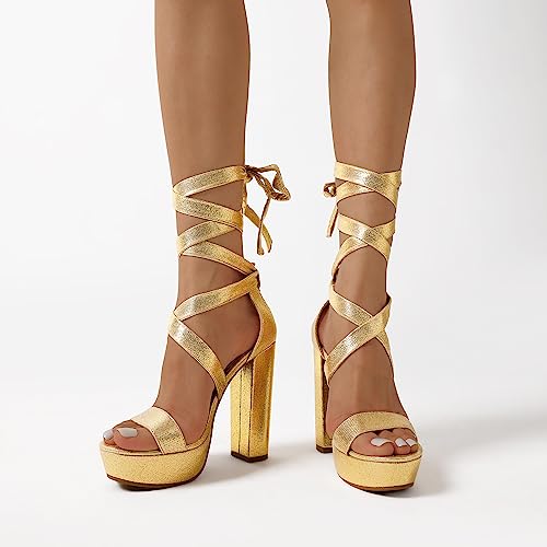Image of DREAM PAIRS High Heels Chunky Block Platform Heels for Women Strappy Gladiator Sexy Open Toe Heels Dressy Pumps Sandals