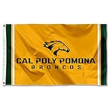 Cal Poly Pomona Broncos 3x5 Foot Flag