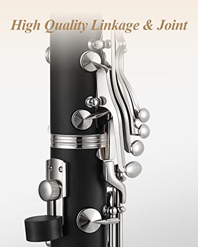 Image of Eastar B Flat Ebonite Clarinet Beginner, Nickel, Hard Case Kit, ECL-300