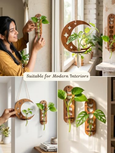 Image of Bombay Greens Wall Hanging Moon & Lunar Phase Planter with Wooden Holder & Rope | Test Tube Hanging Planter | Wooden Stand for Home Decor, Living Room, Balcony & Office Decoration