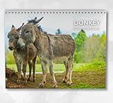 Boyce Publishing Ltd