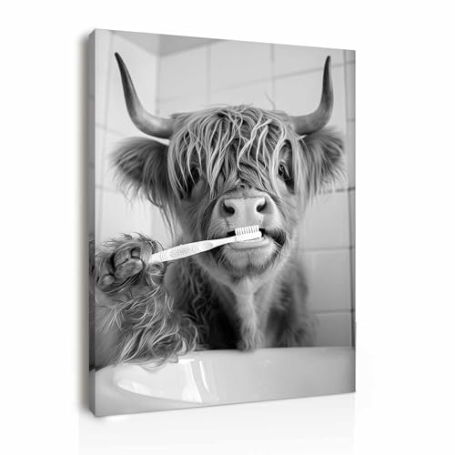 Galmcook Framed Canvas Wall Art 12x16 Inch Highland Cow Bathroom Wall Art Funny Animal Brushing Teeth Toilet Wall Decoration Bathroom Pictures and Prints with Hooks and Magic Tape
