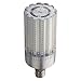 LED Lamp, 14666lm, Overall Bulb 11-29/32"L