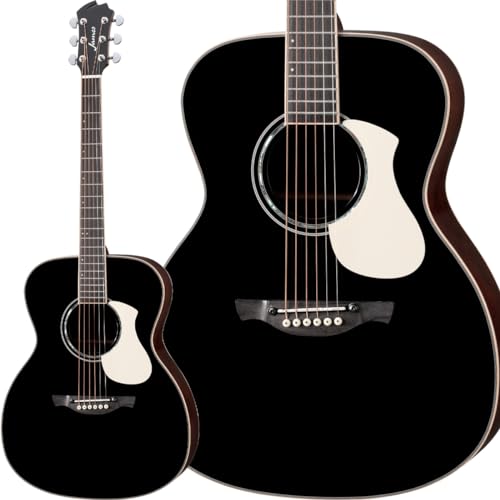 james アコースティック ギター j-500APT/K NAT ジェームス james アコースティック ギター j-500APT/K NAT ジェームス