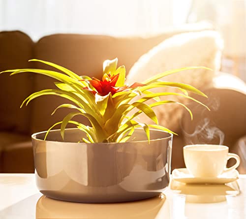 KADAX Blumenschale aus Kunststoff, runde Schale, Pflanzschale, Pflanzgefäß, Kunststoffschale für Fensterbank, Tisch, Wohnzimmer… – Ansicht 2