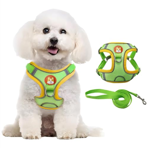 XFSRG Imbracatura Per Cani Piccoli Con Pettorina Regolabile E Guinzaglio Accessori Cane Di Alta Qualità Per Passeggiate Con Stile(XL)