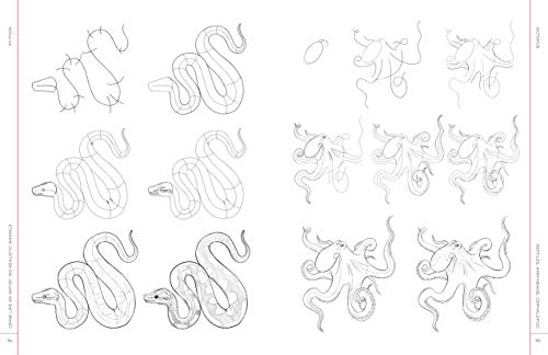 image for Quarry Books Draw Like an Artist: 100 Realistic Animals: Step-by-Step 