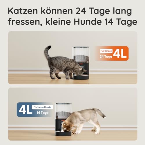 WOPET Futterautomat Katze 4L- Katzenfutter Automat 180 Tage Akkulaufzeit (1-6 Mahlzeiten/Tag, Trockenfutter) Futterspender für Katzen/Hunde, Edelstahlschüssel, Doppelnetzteil Schwarz