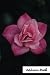 Produktbild Address Book.: (Flower Edition Vol. E14) Glossy And Soft Cover, Large Print, Font, 6" x 9" For Contacts, Addresses, Phone Numbers, Emails, Birthday And More.