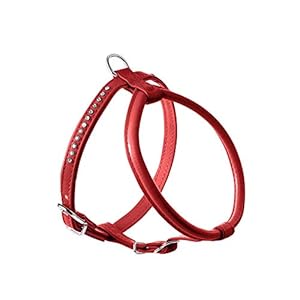 Hunter Modern Art Rands Petit Luxus – Synthetic Leather Harness, Red Color