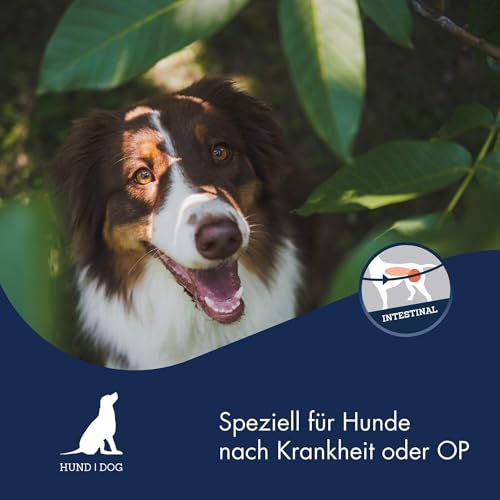 DR.CLAUDER'S - Intestinal Diät | Leicht verdauliches Nassfutter für ausgewachsene Hunde mit Magen- und Darmempfindlichkeit. Alleinfutter in Dose | 400g Huhn&Reis