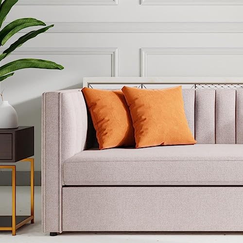 Wakefit Cushion Covers|Super Soft Velvet Fabric 360 TC|Velvet Amber|16X16 Inch|Sofa Pillow Cover Set Of 2