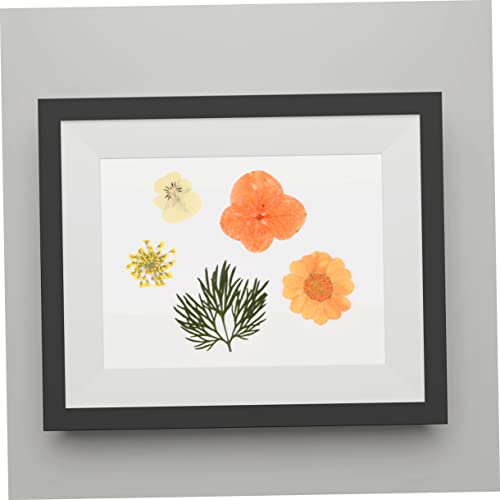 Kit 40 flores secas prensadas elegantes para manualidades miniatura 5