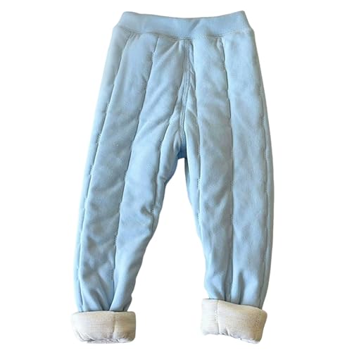 N pc LbY j̎q ̎q  Y{ q  ȓ Opc Ɍ ۉ ~p h {A g n w ʊw ʉ WjA {gX [EFA AEghA H ~  i