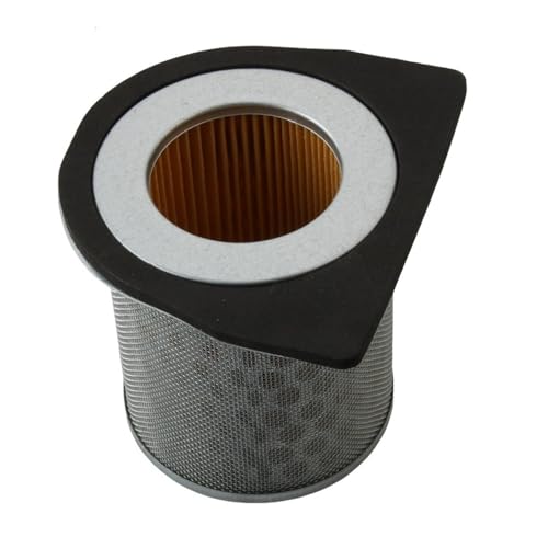 Filtre à air haute filtration CBF250 protégeant le moteur 17213-KPF-900