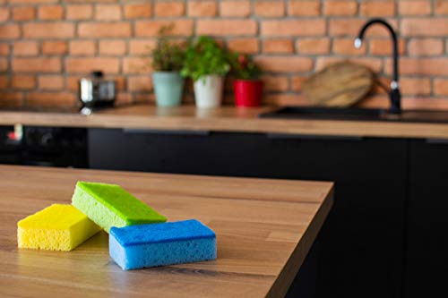 York Prestige Spülschwamm 7er Set Topfreiniger Geschirrschwamm Küchenschwamm Reinigungsschwamm Scheuerschwamm Küche 10 x 7 x 3 cm 7 Stück, Schaum, viele Farben, Standard, 7