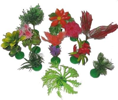 Lifeguard Aquarium Plants for Fish Tanks 12pk