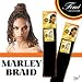 Femi Collection Marley Braid 100% Kanekalon Flame Retardant (#2)