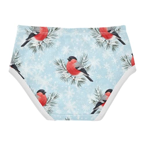 Girls Underwear Toddlers 2t Cotton Cute Panties Girl Print Briefs Undies Kids Cute Red Bullfinch Birds Winter2