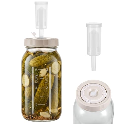 Hejo 2L Fermentation Jar with Airlock and Screw Lids Fermentation Bucket with Adjustable Time Scale Kimchi Container Mead Making Kit Fermenting Kit for Kimchi Sauerkraut Kombucha Pickles