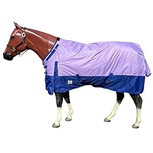 600 Denier Waterproof Turnout Sheet with Adjustable Neck