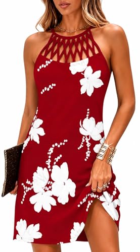 Image of BIRW Summer Dresses for Women 2026 Casual Floral Halter Neck A-line Beach Vacation Sundresses