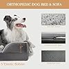 Comfort Expression Orthopedic Dog Bed for Extra Large Dogs 42x30 Inch, Waterproof Egg Crate Foam XL Pet Bed with Removable Bolsters, Dog Couch with Washable Cover & Non-Slip Bottom, Grey #5