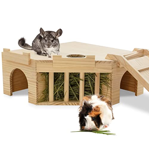List of Top Ten Best Guinea Pig Cages [Top Picks 2023 Reviews]