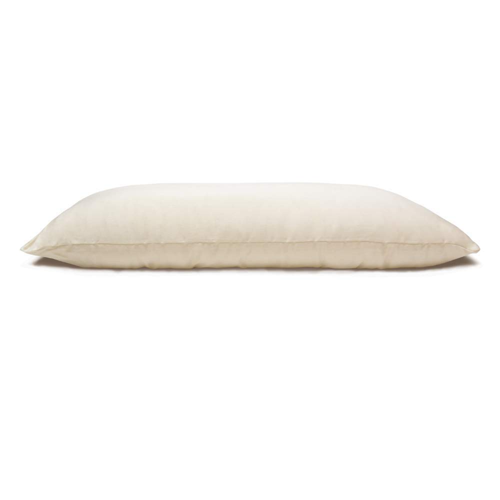 organic foam pillow