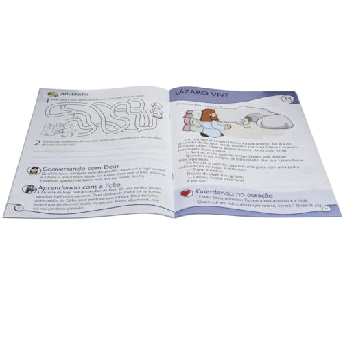 Família - Volume 2. Coleção Estudando com a Bíblia