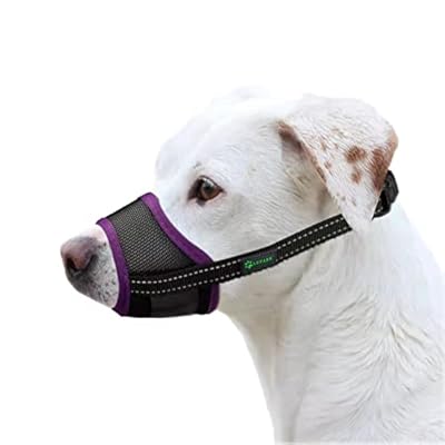 ILEPARK Dog Muzzle with Mesh Cover, Muzzles for Small Medium Large Dogs, To Prevent Biting Barking and Chewing?M, Purple