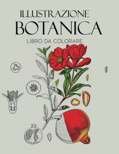 Illustrazione botanica Libro da colorare: Libro da colorare floreale per ad...