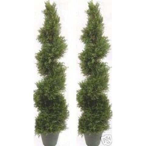 Two 5 Foot 4 Inch Artificial Cypress Spiral Trees Potted Indoor or Outdoor Cover