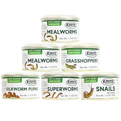 Canned Insect Assortment 6 Pack - Healthy High Protein Treat - For Hedgehogs, Sugar Gliders, Reptiles, Chickens, Lizards, Bearded Dragons, Turtles, Fish, Birds, Opossums, Skunks and other Insectivores