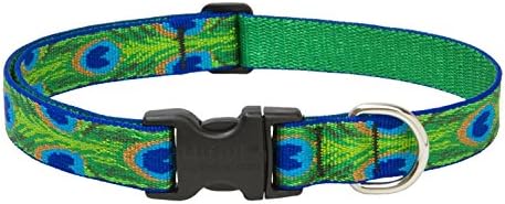 Lupinepet Originals 1" Tail Feathers 12-20" Adjustable Collar For Medium And Larger Dogs image 4