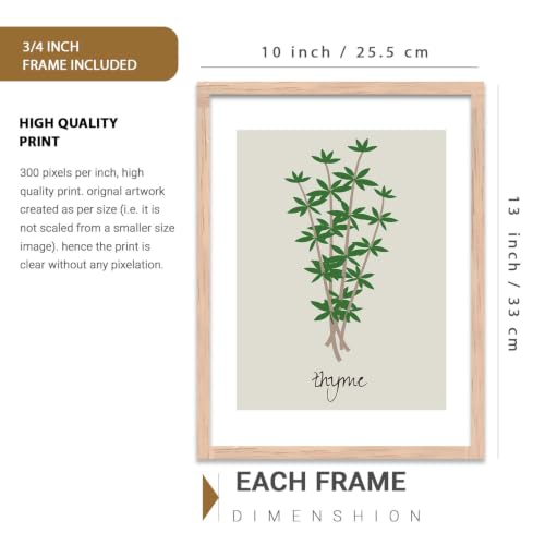 Image of HOTHOUSE Botanical Wall Art Painting | Premium Art Framed Wall Paintings For Home Decor | Poster With Frame Wall Decoration Painting Frames For Home Office Living Room | Set of 3 (10X13 inch)
