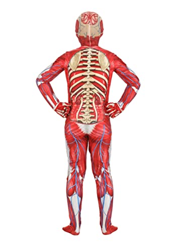Disfraz infantil esqueleto muscular anatómico miniatura 2