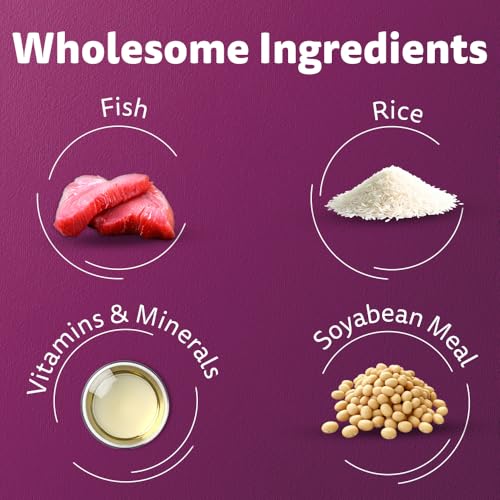 Image of Whiskas Adult (1+ Years) Dry Cat Food, Ocean Fish Flavour, 200g, Contains 41 Essential Nutrients, Complete & Balanced Nutrition for Adult Cats