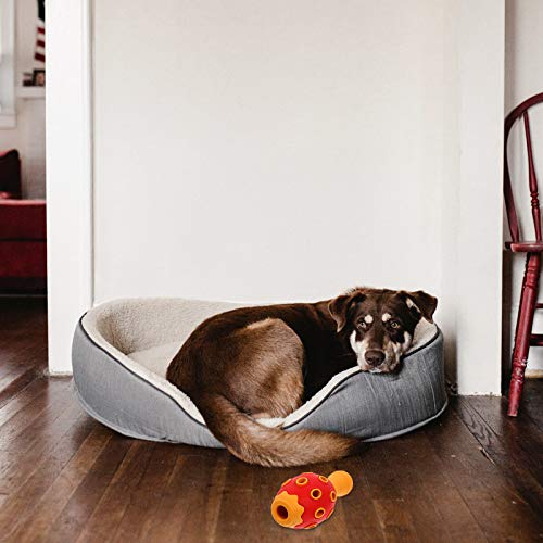 TEHAUX Brinquedo de borracha para animais de estimação, resistente a mordidas, de borracha, para squ